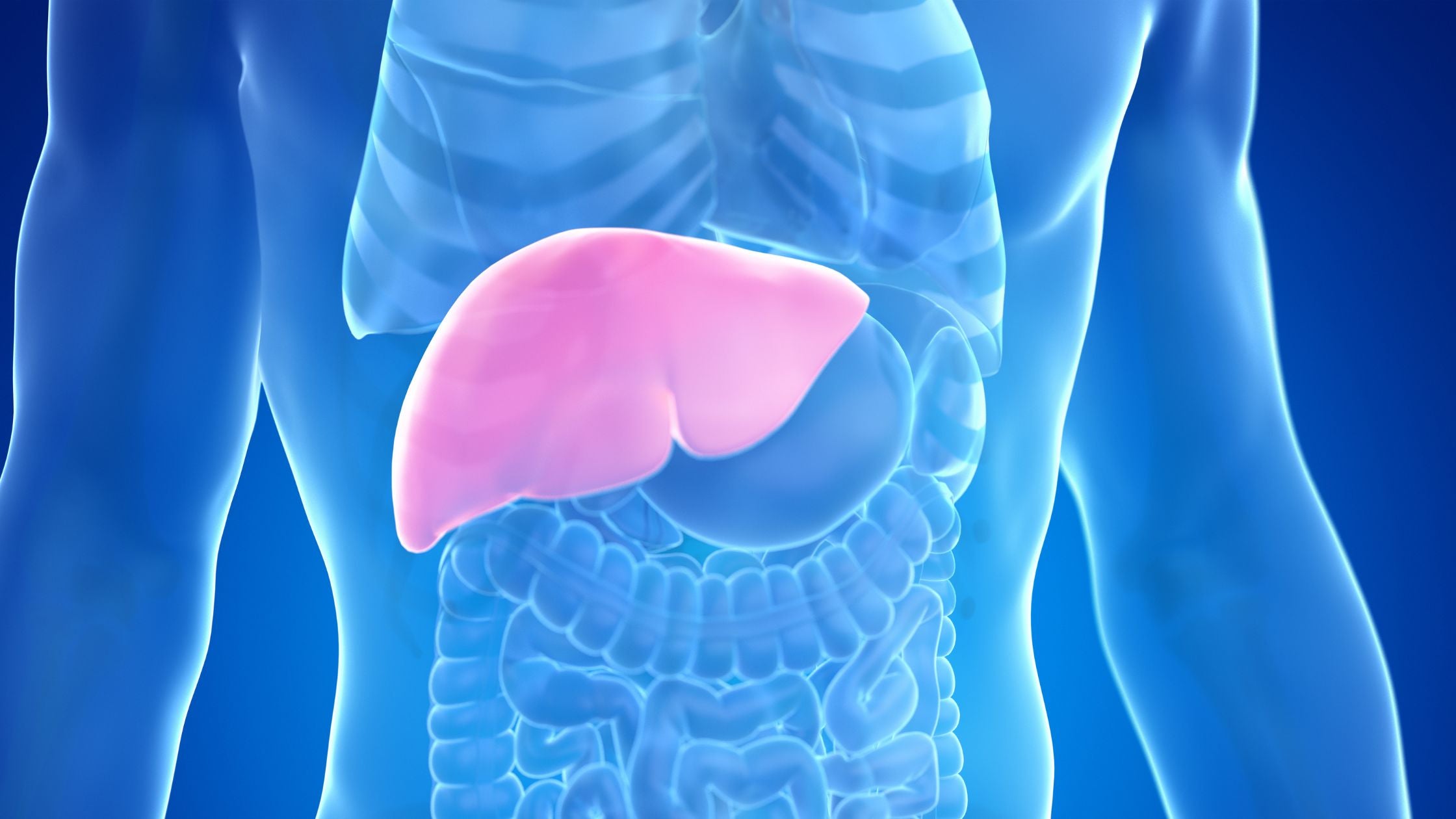 how-to-naturally-lower-your-liver-enzymes-alumbra-media